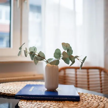 Metternich Naehe Uni Und Bwzk * Koblenz (Rhineland-Palatinate)