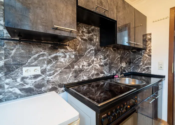 Metternich Naehe Uni Und Bwzk Appartement Coblence